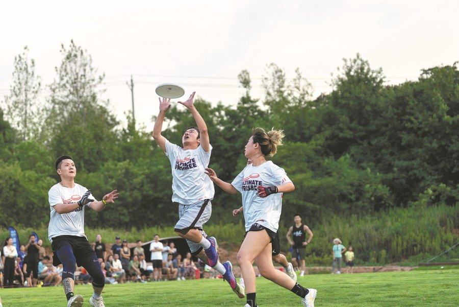Turn Singapore's parks into your personal fitness playground! Discover fun and engaging frisbee games that provide a fantastic cardio workout and full-body engagement. Get active outdoors!