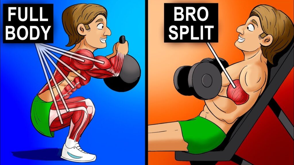 Full-Body vs. Split Training: Which Is Right for Your Goals?