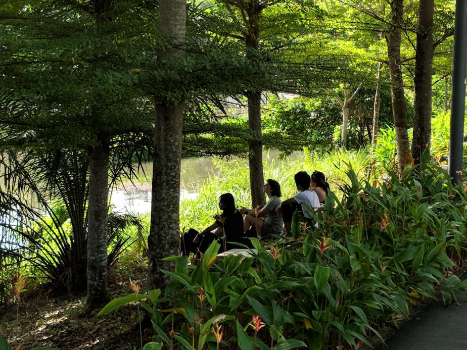 How Singapore’s Green Spaces Are Boosting Mental Health and Emotional Well-being