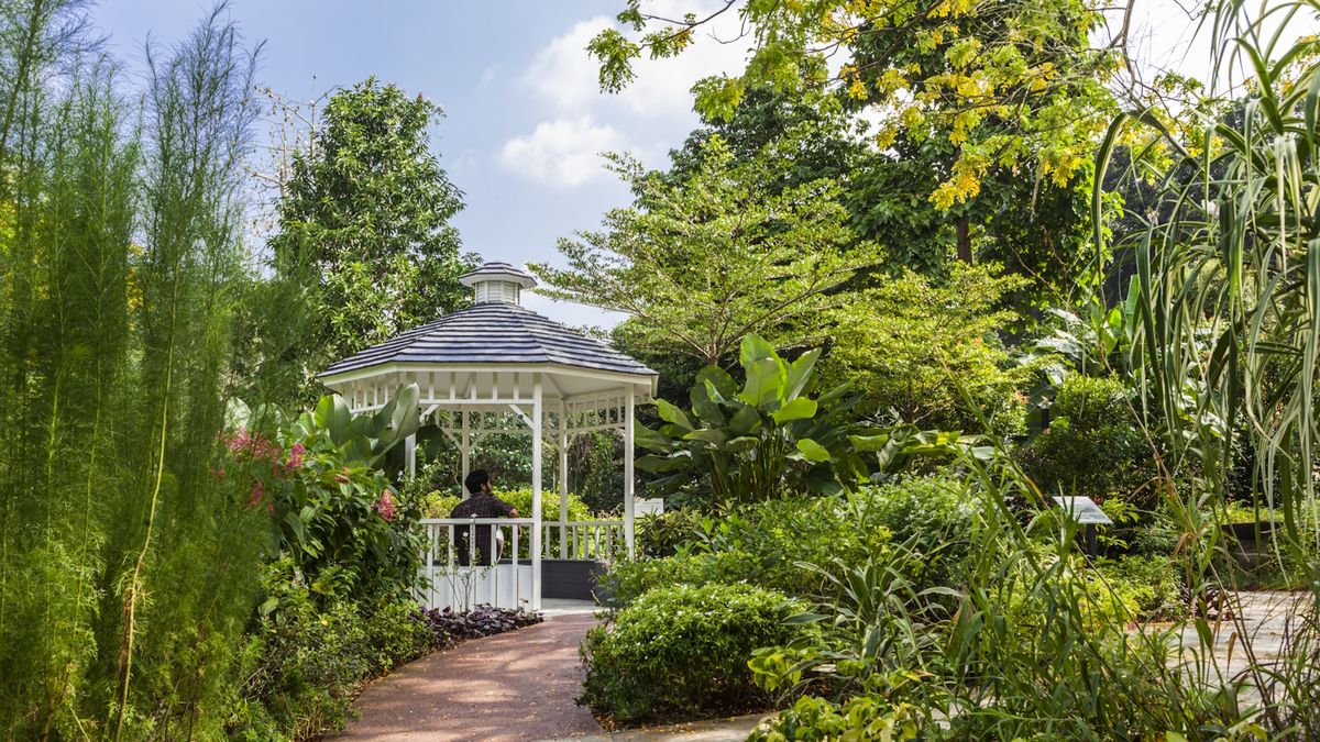 Discover the surprisingly effective physical benefits of urban gardening in Singapore! Learn how tending to plants in our city environment provides gentle exercise, reduces stress, and enhances well-being.