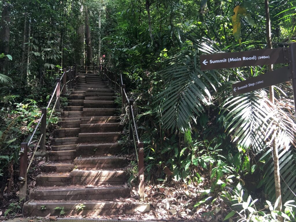 Walking Trails in Singapore That Help Burn Fat Fast