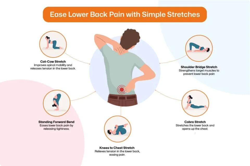  Small Daily Movements to Prevent Back Pain Before It Starts