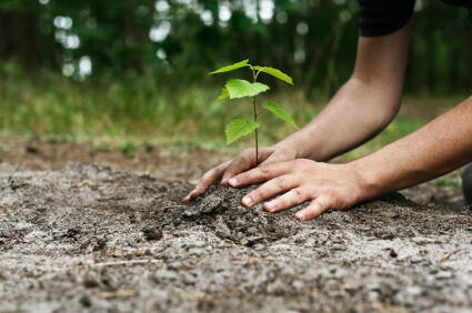 Why Your Environment Affects Your Health More Than You Think